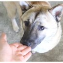 너와함개냥 이미지