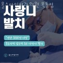 스마일치과의원 | 양천구 목동 치과 올스마일치과의원 목동점 진료시간 접근성 이용후기