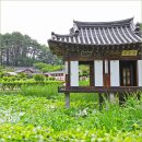 명성고속관광 | 강릉역 근처 강릉 가볼만한곳 6월의 강릉 선교장