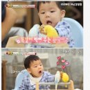 송파 하남 위례 감일 아이랑 앵무새카페 리프패럿 감일점 후기