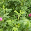 꽃향기어린이집 이미지