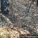 신동파인힐스 이미지