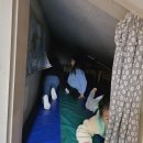 별빛샘과 함께ㅡ이오덕과 존 듀이의 교육 정신을 떠올리며 [11.13] 이미지