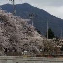 새롬기사식당 이미지