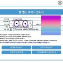붓쟁이