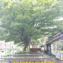 신주공2단지 이미지