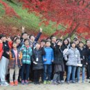 영명환경 이미지