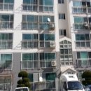 거제중앙로 이미지