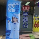 다다공인중개사사무소 이미지