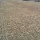 잔디 농장 이미지