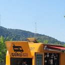 서천변 | 광양 가볼만한 곳 서천변 장미 개화 솔직 후기