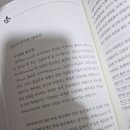 나무비전