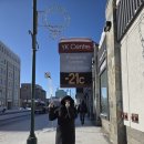 (주)우리나라주유소 | 옐로나이프 오로라 여행 3박 4일 일정, 맛집, 날씨, 기념품, 준비물 총정리