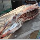 램 (Lamb)