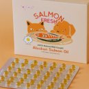 강아지스푼 이미지