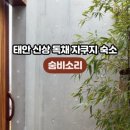 숨비소리 만리포 이미지