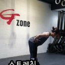 대전크로스핏/여자크로스핏/크로스핏후기/코어운동...대신 GHD,브이업 대신 로어파이크업rower pike up