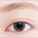 렌즈아이 이미지