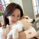 여인천하화장품 - 관악구 양지길 1 | 여인천하화장품