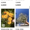 드롭플라워 - 송파구 올림픽로 119 | 드롭플라워