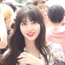 모모 티스토리