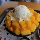 설빙 - 해운대구 송정광어골로 82 | 설빙