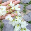 부암동 주민센터화장실 이미지