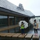 방주국수 이미지