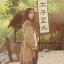 태평성 이미지