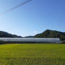 고산리 경로당 네이버블로그