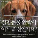 정이동물병원 이미지