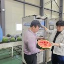 과일톡톡 - 정읍시 수성택지7길 24-29 | 과일톡톡