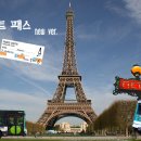 소쿠리파리