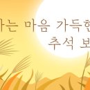 레드로즈빈