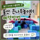 형제과일 | 울산 큰나무놀이터 예약방법｜9살 5살 형제와 다녀온 후기와 준비물