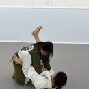 장촌초등학교 | 대화역 바로 앞 인아웃 주짓수에서 체험한 일산주짓수 후기