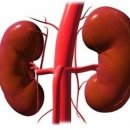 오늘도 숨 이미지