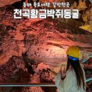 천곡초등학교 | 천곡황금박쥐동굴 동해 묵호 여행 코스추천 주차장 입장료 할인정보