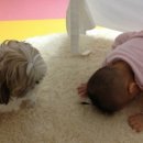 쥬쥬동물병원 이미지