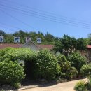 진짜순대 이미지