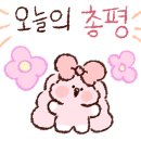 테이블에이 놀이터 이미지