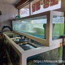 77수족관 이미지