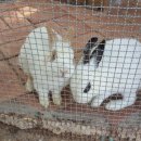 금촌유아숲체험원 이미지