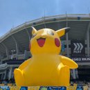 사직야구장 3루 와이드탁자석 331블럭 2시 낮경기(+ 일광화상)