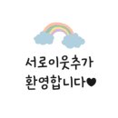 제주 구좌 맛집 청파식당횟집 고등어회 포장 후기