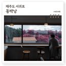 제주 동백꽃 명소 동박낭, 예쁜 SNS 사진 찍기좋은 제주동백수목원 옆 비밀의정원