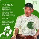 햇빛장 이미지