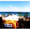 사나래카라반펜션