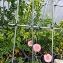 경상농장 이미지