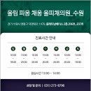 올림 피움 채움 올피채의원 수원점 이미지